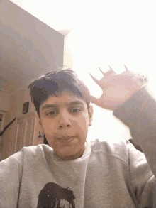 a young boy wearing a gray sweatshirt with a picture of a horse on it