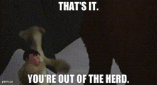 a picture of a horse with the words that 's it you 're out of the herd written on it