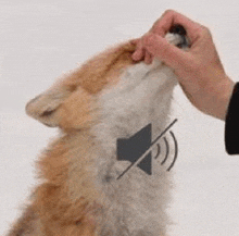 a person is petting a dog 's ear with a sound off icon on it .
