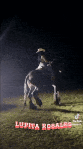 a man riding a horse with the name lupita rosales at the bottom