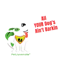 a dog wearing a bandana with pj on it