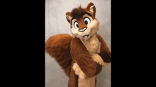 a stuffed animal in a squirrel costume is standing on a white background .