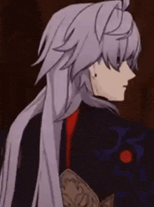 a close up of a person with long gray hair and a black jacket .