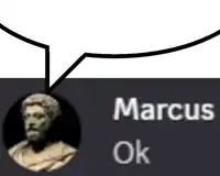 a speech bubble with a picture of a man and the name marcus on it
