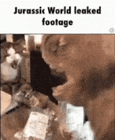 a jurassic world leaked footage of a t-rex eating a package of food .