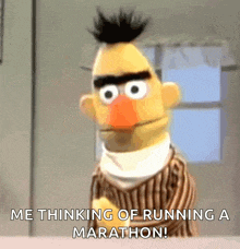 bert from sesame street is talking about running a marathon