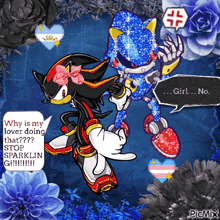 shadow the hedgehog and metal sonic are standing next to each other and shadow is wearing a pink bow