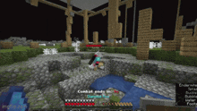a screenshot of a minecraft game shows a diamond fox being killed