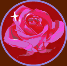 a pink rose in a blue circle with a star