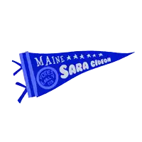 a blue pennant with maine votes early for sara gideon on it
