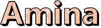 the name amina is written in pink and black