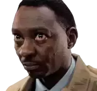 a close up of a man 's face with a serious expression