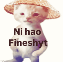 a cat wearing a straw hat with the words ni hao fineshyt written below it