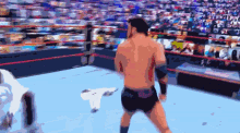 a pixelated image of a wrestler in a ring with a crowd watching