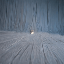a cat is sitting on a blanket in front of a blue curtain