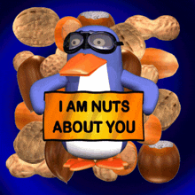 a penguin wearing goggles holds a sign that says i am nuts about you