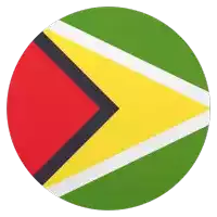 Guyana Flags Sticker