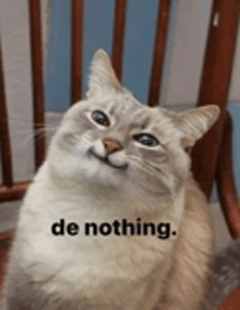 a cat is sitting in a chair with the words de nothing on it