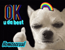 a dog giving a thumbs up with the words ok u da best homosexual behind him