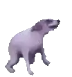 a purple pig is standing on a white background .