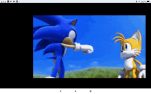 a screenshot of sonic the hedgehog and tails the cat