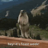 a groundhog standing on its hind legs with the words hey it 's feast week