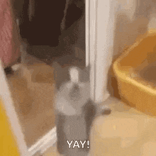 a cat is standing next to a yellow litter box in a bathroom .