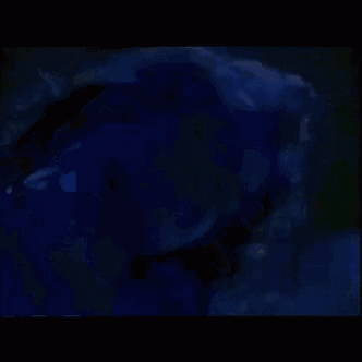 a close up of a person 's face in a dark room with blue lights .