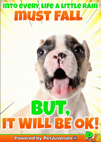 a poster that says " into every life a little rain must fall " and " but it will be ok "