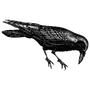 lambdadd profile