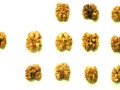 walnuts lined up on a white background