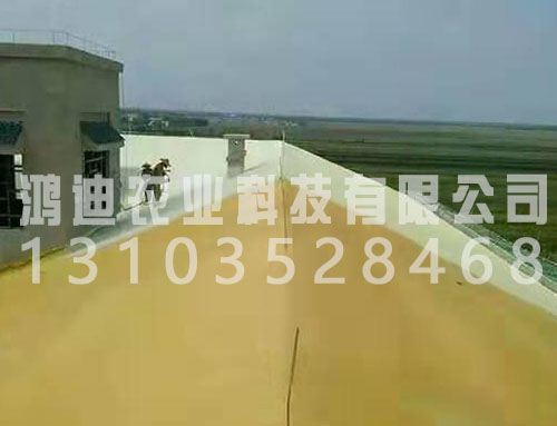 成功案例