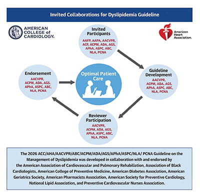 Dyslipidemia Guideline Central Figure