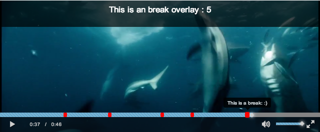 Screen shot of videojs.markers Alt text