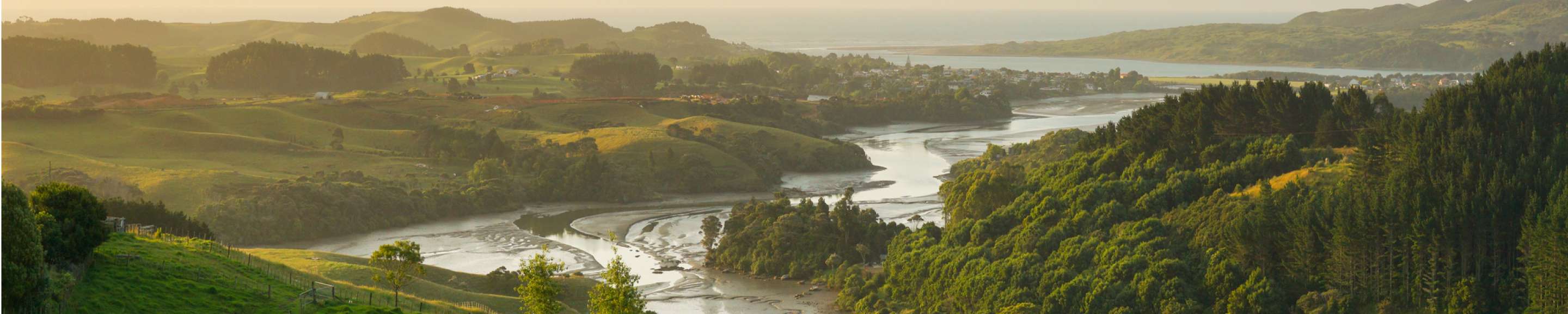 Putāruru, South Waikato