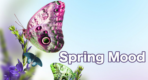 Spring Mood 2016
