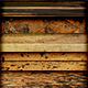 5 Wood Textures high resolution