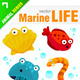 Marine / Sea Life