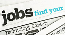 WordPress Job Board Themes