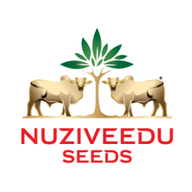 client-nujiveedu-seeds