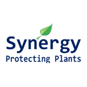 client-synergy