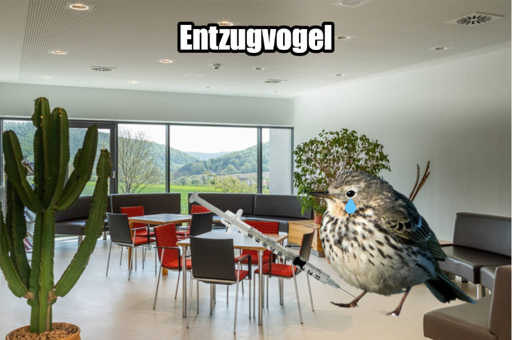 Bild einer Entzugsklinik von Innen, mit Stuhlkreis, Sofa und Kaktus, Fenster im Hintergrund. Im Raum steht ein überdimensionierter Vogel (ein Wiesenpieper, um genau zu sein) steht. Ihm läuft eine symbolische blaue Träne das Auge hinab. An seinem Fuß ist eine Heroinspritze angelegt. Oben, mittig im Bild, steht der Text: "Entzugvogel".