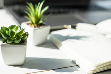 Mercer Advisors Thumbnail