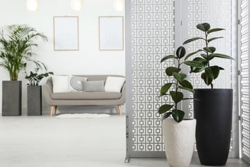 Credit Genie Thumbnail