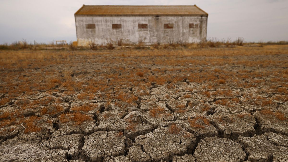Terreno agrícola reseco en Isla Mayor.