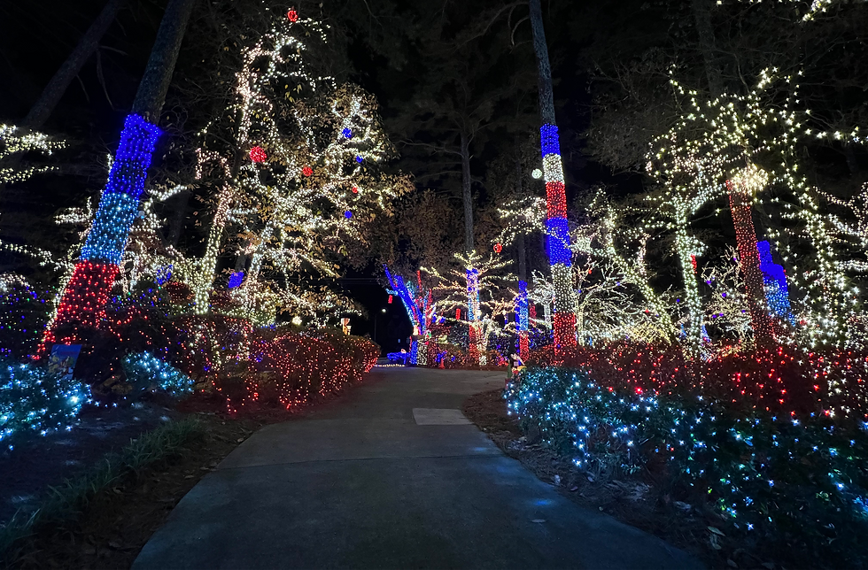 Lights Of Joy - Kennesaw, GA