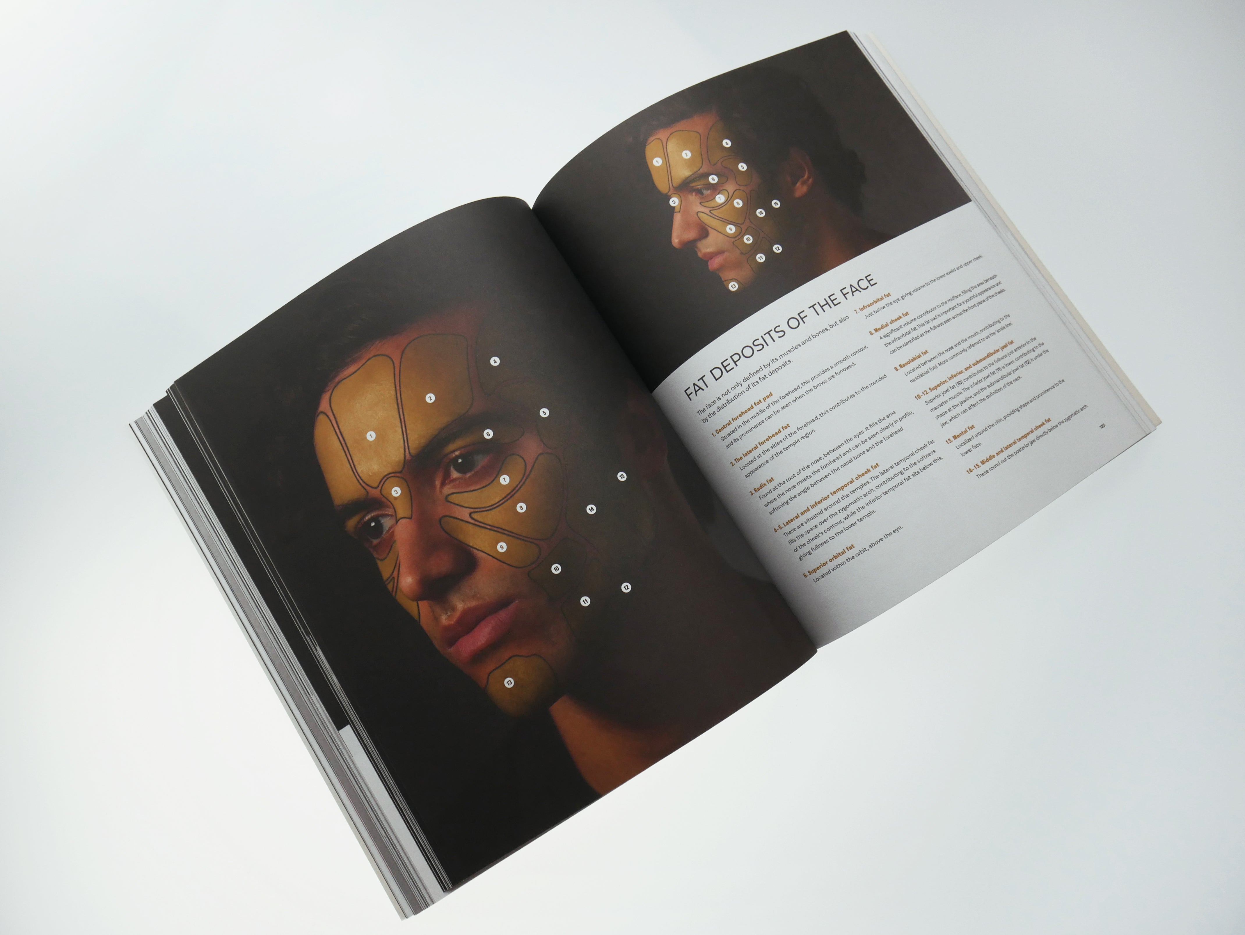The Art of Portraiture: A practical guide to better drawing with Stephen Bauman (Hardback Edition)