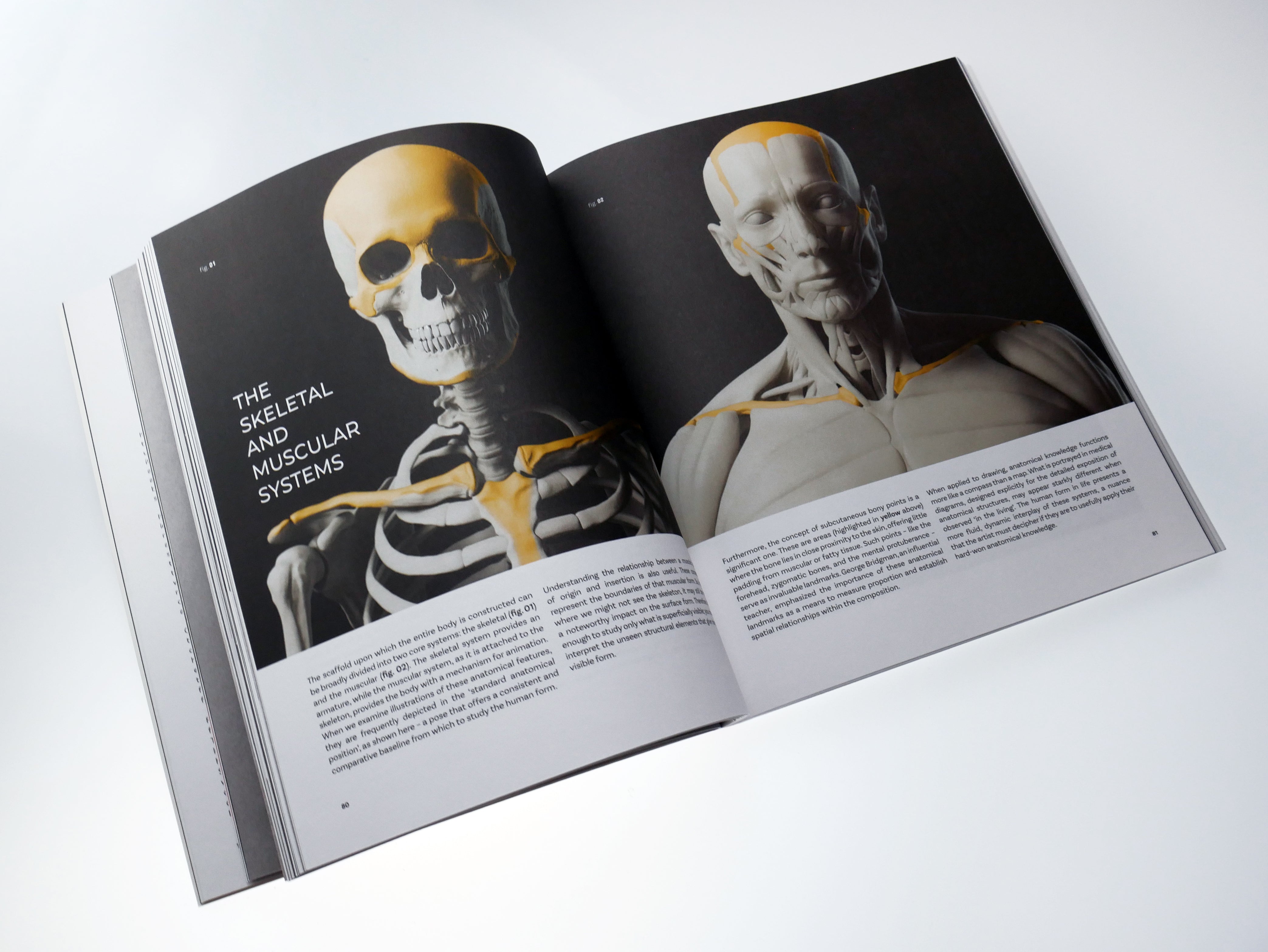 The Art of Portraiture: A practical guide to better drawing with Stephen Bauman (Hardback Edition)