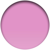 일렉트릭 라벤더