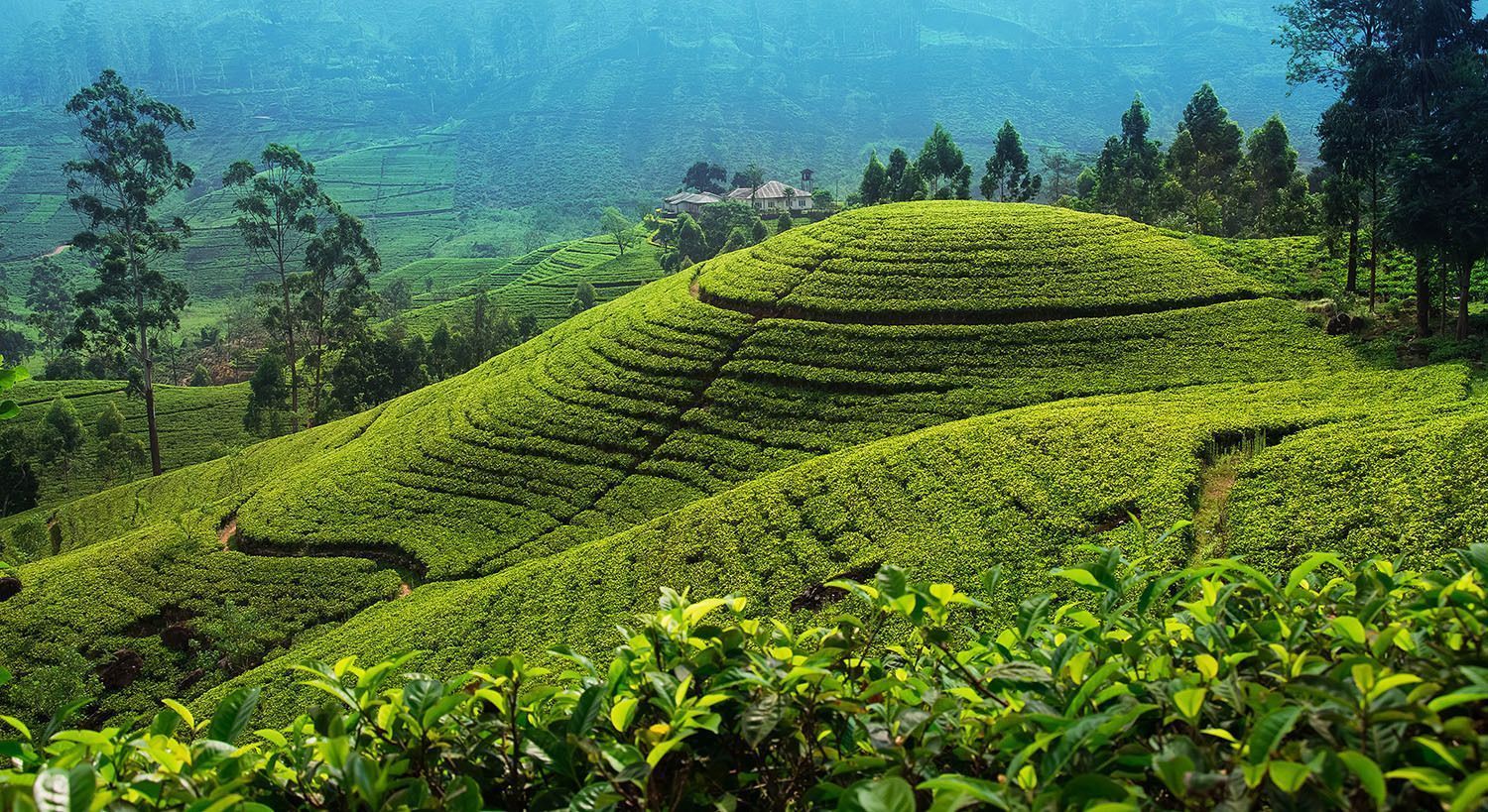 Srilanka-nature-hill-landscape.jpg